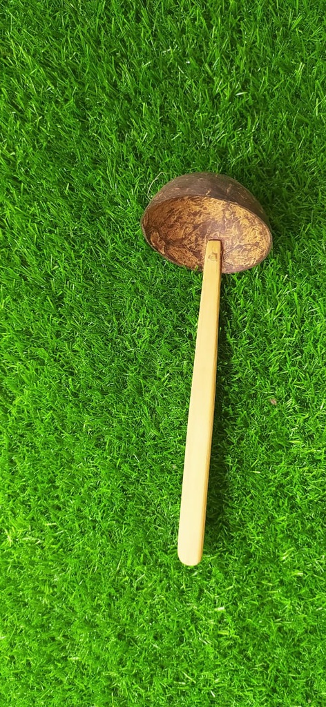 Bamboo Small Coconut Shell Spoon (Chiratta Kayil)