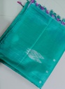 Pista Green Banana Pith Silk Saree