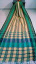 Pale Green Orange Handloom Cotton Saree